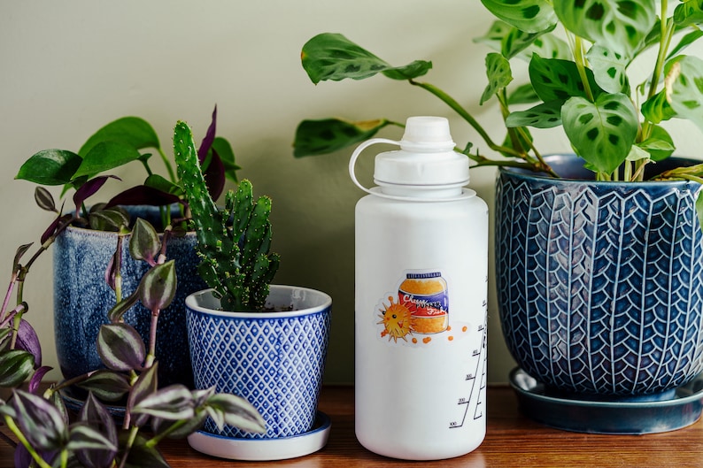 May include: A white water bottle with a colorful sticker of a jar of orange marmalade and a sun. The bottle has a white lid and a measurement scale on the side. The bottle is sitting on a wooden surface next to three potted plants.