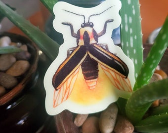 Glow in the Dark Firefly Sticker