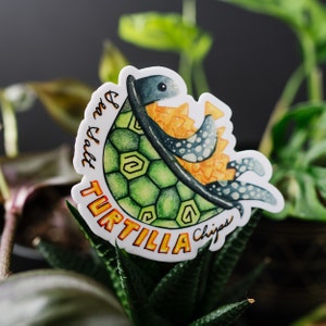 Autocollant de chips de turtilla au sel de mer