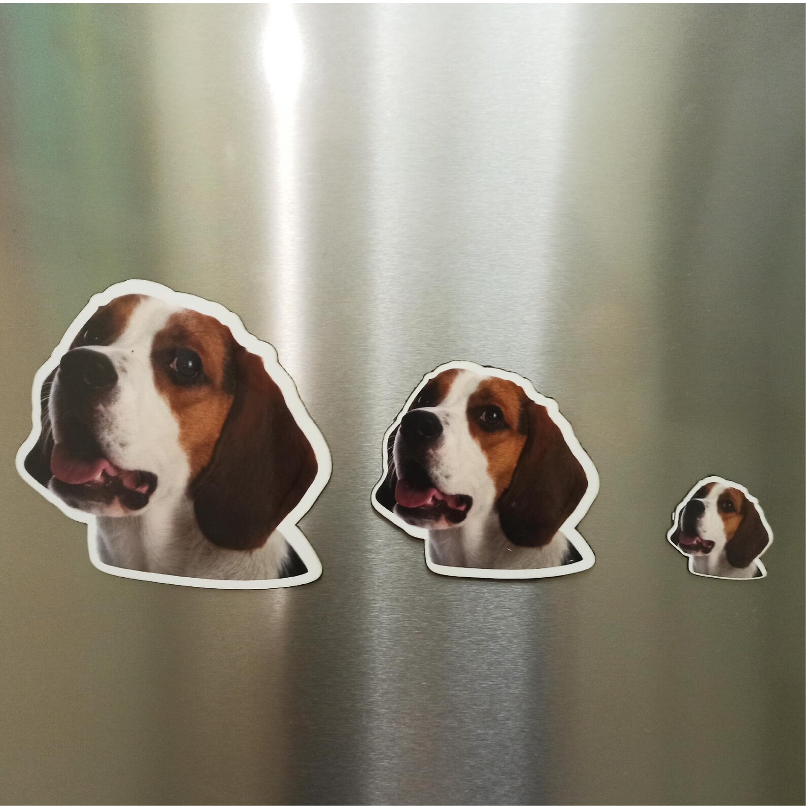 Custom Pet Custom Dog Personalized Pet Etsy