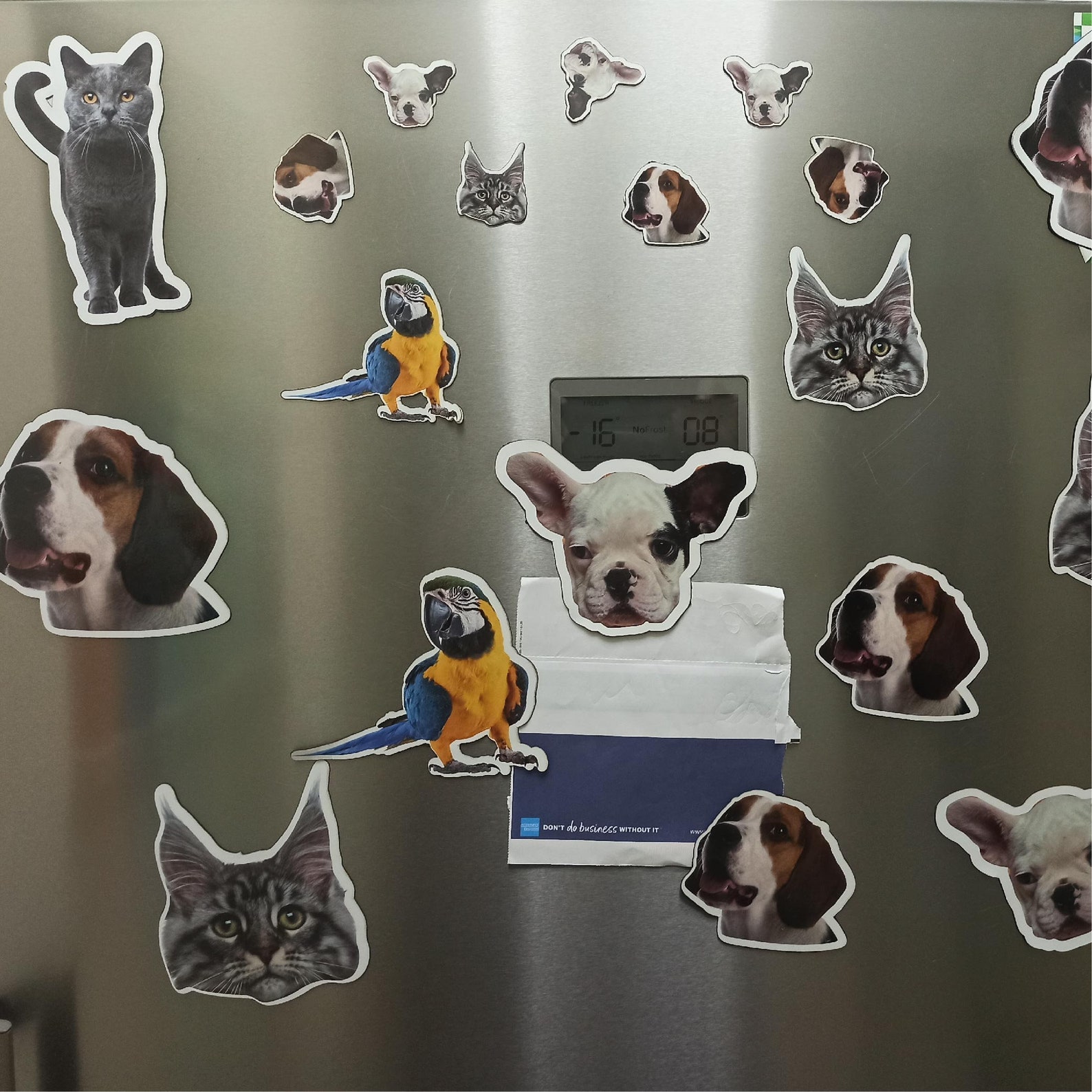 Custom Pet Custom Dog Personalized Pet Etsy