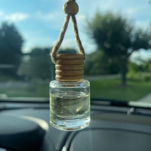 Car Diffuser | Hanging Car Air Freshener | Scented Car Accessory | Car Freshies | New Car Gift | Refillable | Fruity & Clean Scents