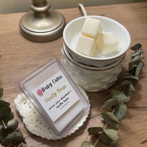 Fruity Wax Melts – Handmade Soy Wax Melts with Fruit Scents | Long-Lasting Scented Wax | Summer Home Fragrance | Tropical Fruit Wax Melts