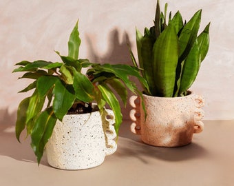 Rustic terracotta flower pot with triple handle in soft colors