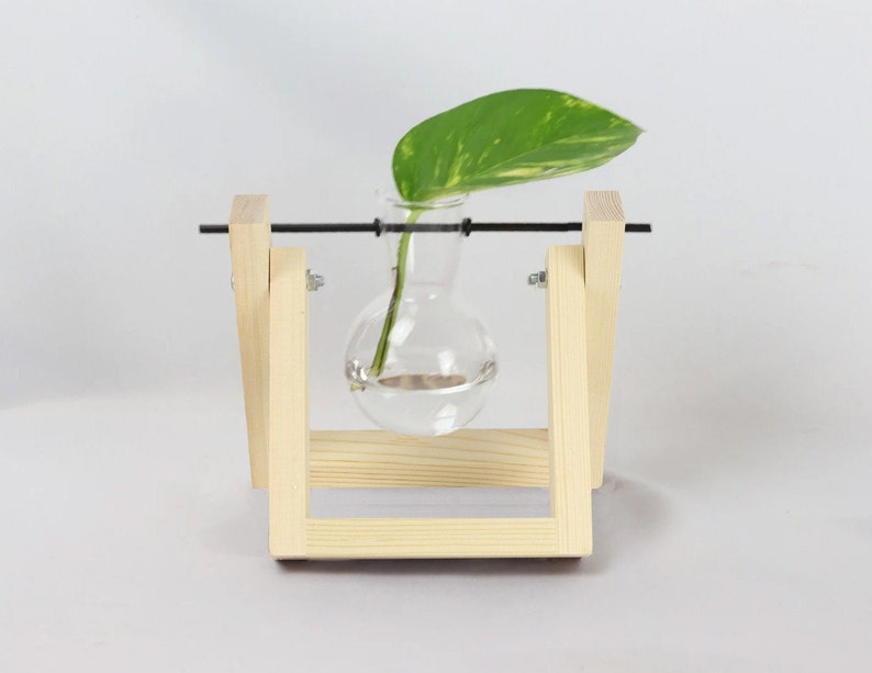 Propagation station, hydroponic vase for cuttings, cutting vase, plant propagation for your urban jungle, wooden plant stand, propagation single - natur