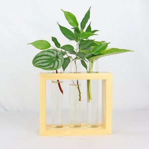 Plant Propagation Urban Jungle | Nursing station for the wall | wooden frame | Hydroponic vase for offshoots, cuttings | test tube vase