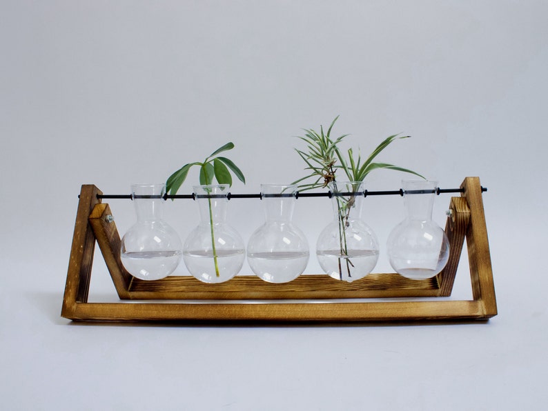 Anzuchtstation, Hydroponische Vase für Ableger, Stecklingvase, Pflanzenvermehrung für dein Urban Jungle, Holz Pfanzenständer, Vermehrung Bild 8