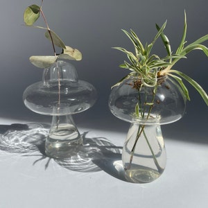 Mushroom shaped glass vase | bud vase | mushroom shaped germination jar | hydroponic plant vase, mushroom vase