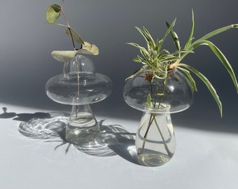 Pilzförmige Glasvase | Knospenvase | pilzförmiges Keimglas | Hydrokultur Pflanzenvase, Pilzvase