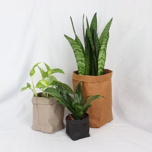 Vaso per piante in carta kraft, pelle vegana, vaso per fiori in carta lavabile, fioriera senza plastica, cestino portaoggetti sostenibile
