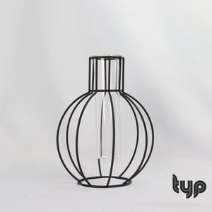 Drahtvase mit Glas für Blumen, Trockenblumen, Hydroponik, Geometrisches Design, Minimalismus, Zeitlos, Metallvase schwarz typ B