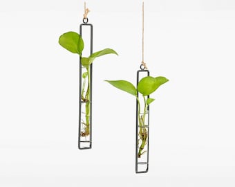 hanging vase, cultivation vase, hydroponic vase for offshoots, cutting vase, plant propagation for your urban jungle