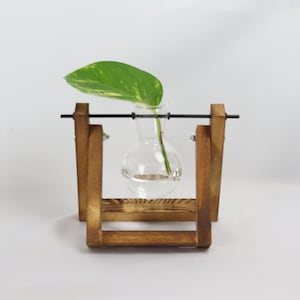 Propagation station, hydroponic vase for cuttings, cutting vase, plant propagation for your urban jungle, wooden plant stand, propagation single - flambiert