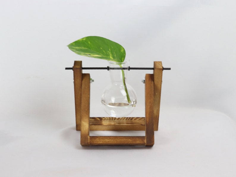 Propagation station, hydroponic vase for cuttings, cutting vase, plant propagation for your urban jungle, wooden plant stand, propagation single - flambiert