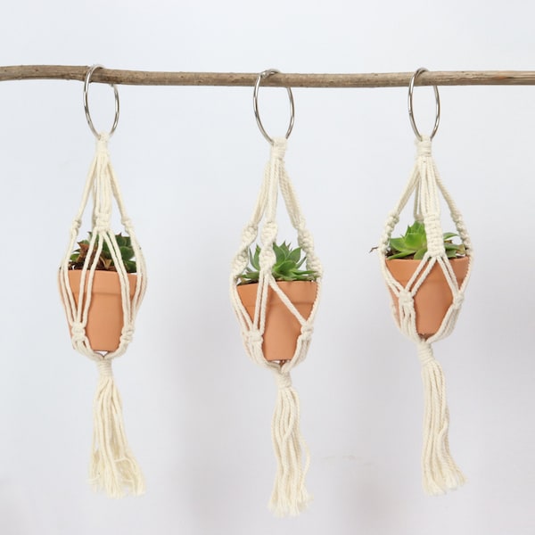 Macrame mini panier suspendu Vanlife, noué à la main, pour la voiture, van, camping-car, suspension succulente, rétroviseur, Macrame Plant Hanger