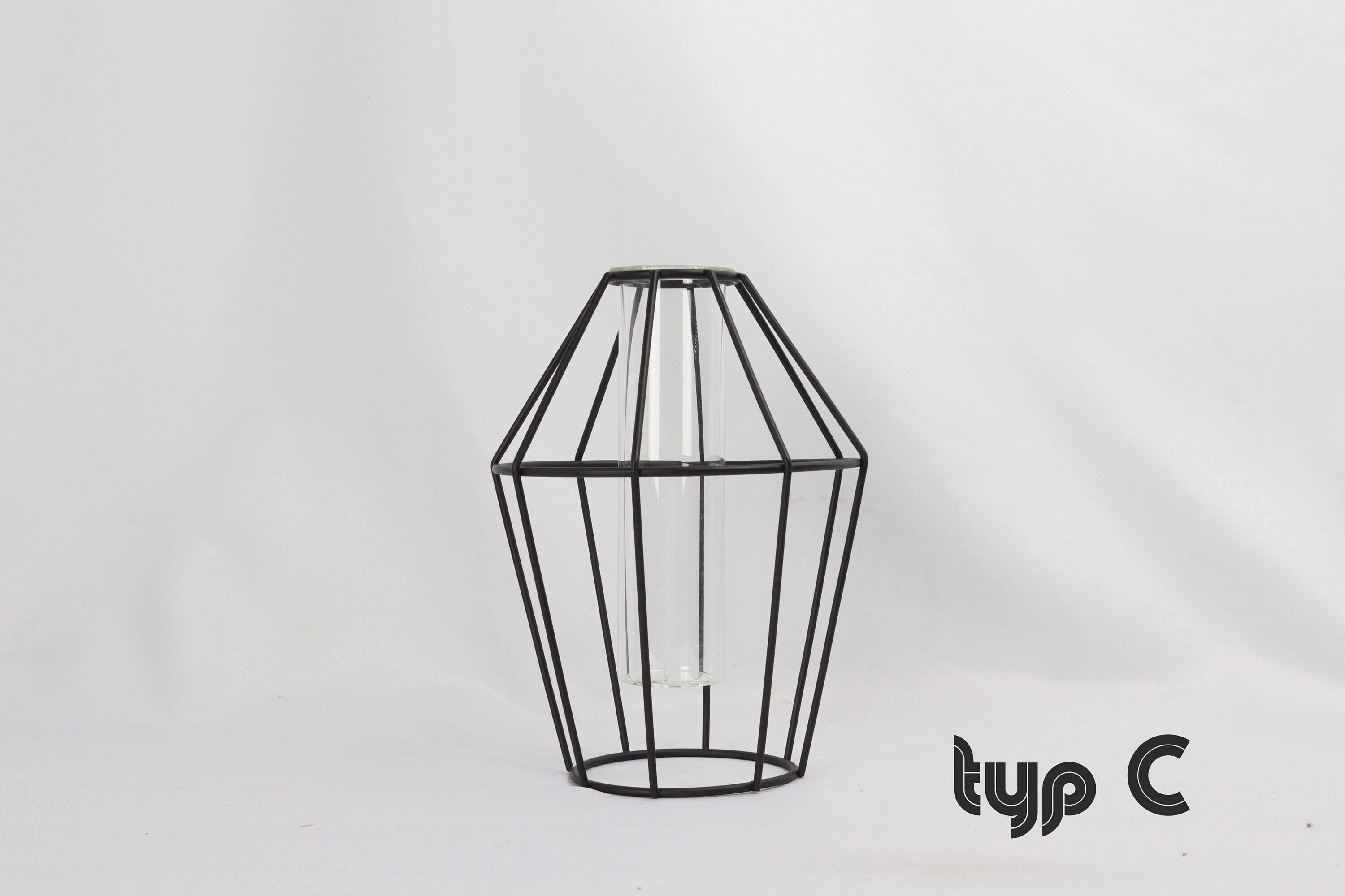Vaso con Struttura in Metallo, Vaso in Filo Metallico Vaso per Fiori in Vetro Geometrico Nero Moderno Creativo Tubo Trasparente in Vetro Fioriera Terrari per Fiori Idroponica