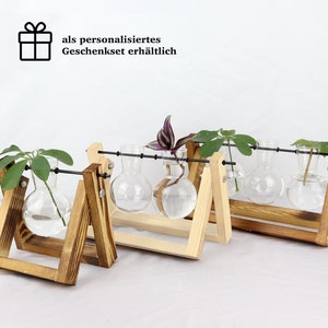 Propagation station, hydroponic vase for cuttings, cutting vase, plant propagation for your urban jungle, wooden plant stand, propagation image 1