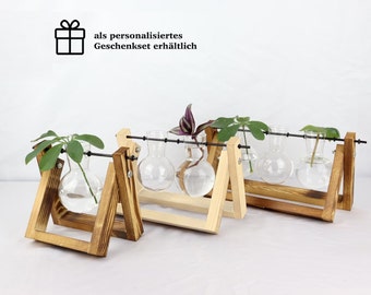 Anzuchtstation, Hydroponische Vase für Ableger, Stecklingvase,  Pflanzenvermehrung für dein Urban Jungle, Holz Pfanzenständer, Vermehrung