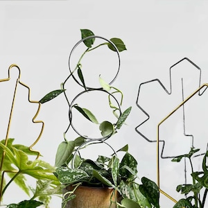 Metalen traliewerk, bladvorm, minimalistisch design, plantensteun, klimplanten