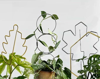 Treillis métallique, forme de feuille, design minimaliste, support végétal, plantes grimpantes