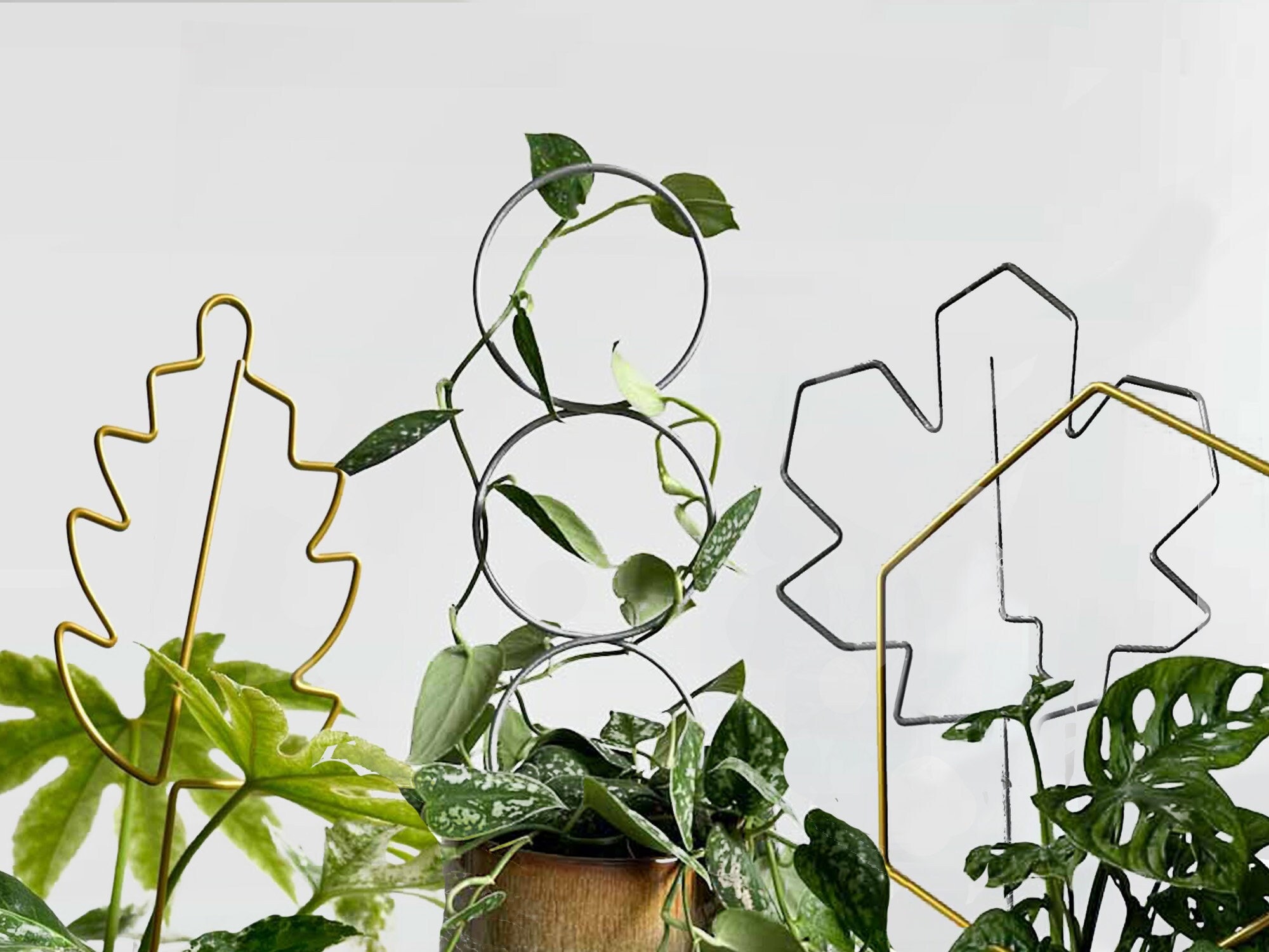 Metal Trellis, Leaf-shaped, Minimalist Design, Plant Support, Climbing Plants - Etsy