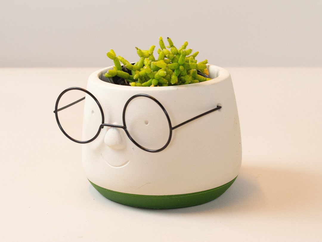 Keramik Pflanztopf Gesichter Brille Übertopf für Pflanzen Etsy.de