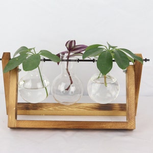 Propagation station, hydroponic vase for cuttings, cutting vase, plant propagation for your urban jungle, wooden plant stand, propagation tripple - flambiert