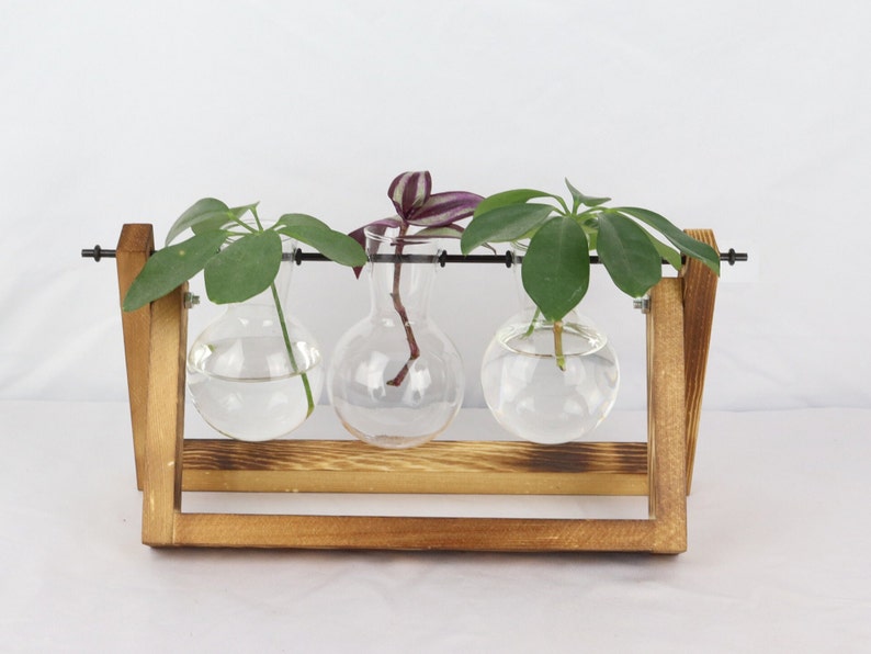 Propagation station, hydroponic vase for cuttings, cutting vase, plant propagation for your urban jungle, wooden plant stand, propagation tripple - flambiert
