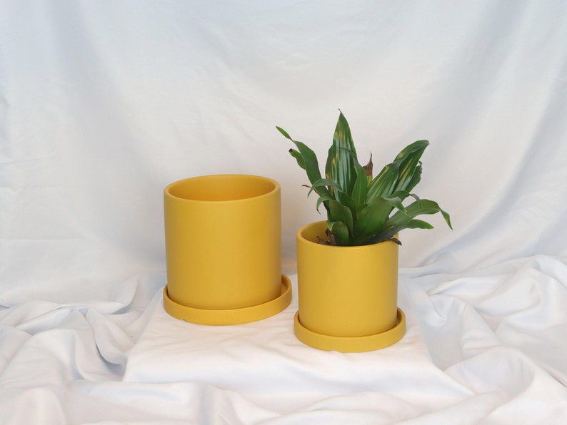 Minimalistischer Pflanzentopf aus Keramik für drinnen, in Skandinavisches Design, Blumentopf, Urban Jungle, einfarbig yellow