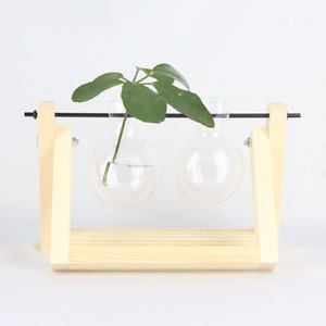 Propagation station, hydroponic vase for cuttings, cutting vase, plant propagation for your urban jungle, wooden plant stand, propagation double - natur