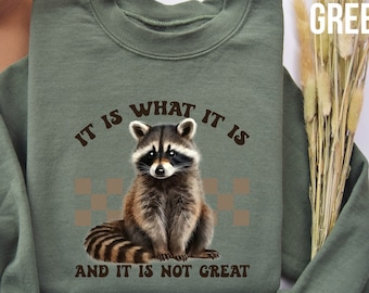 It Is What It Is and It Is not Great Sweatshirt, Racoon Meme Sweatshirt, Funny Racoon Sweater, Funny Trash Panda Shirt, Racoon Lover Shirt