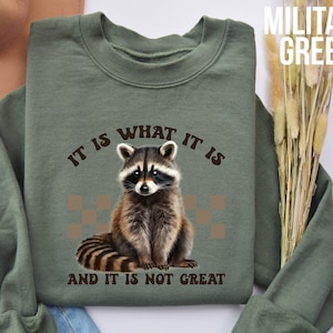 It Is What It Is and It Is not Great Sweatshirt, Racoon Meme Sweatshirt, Funny Racoon Sweater, Funny Trash Panda Shirt, Racoon Lover Shirt