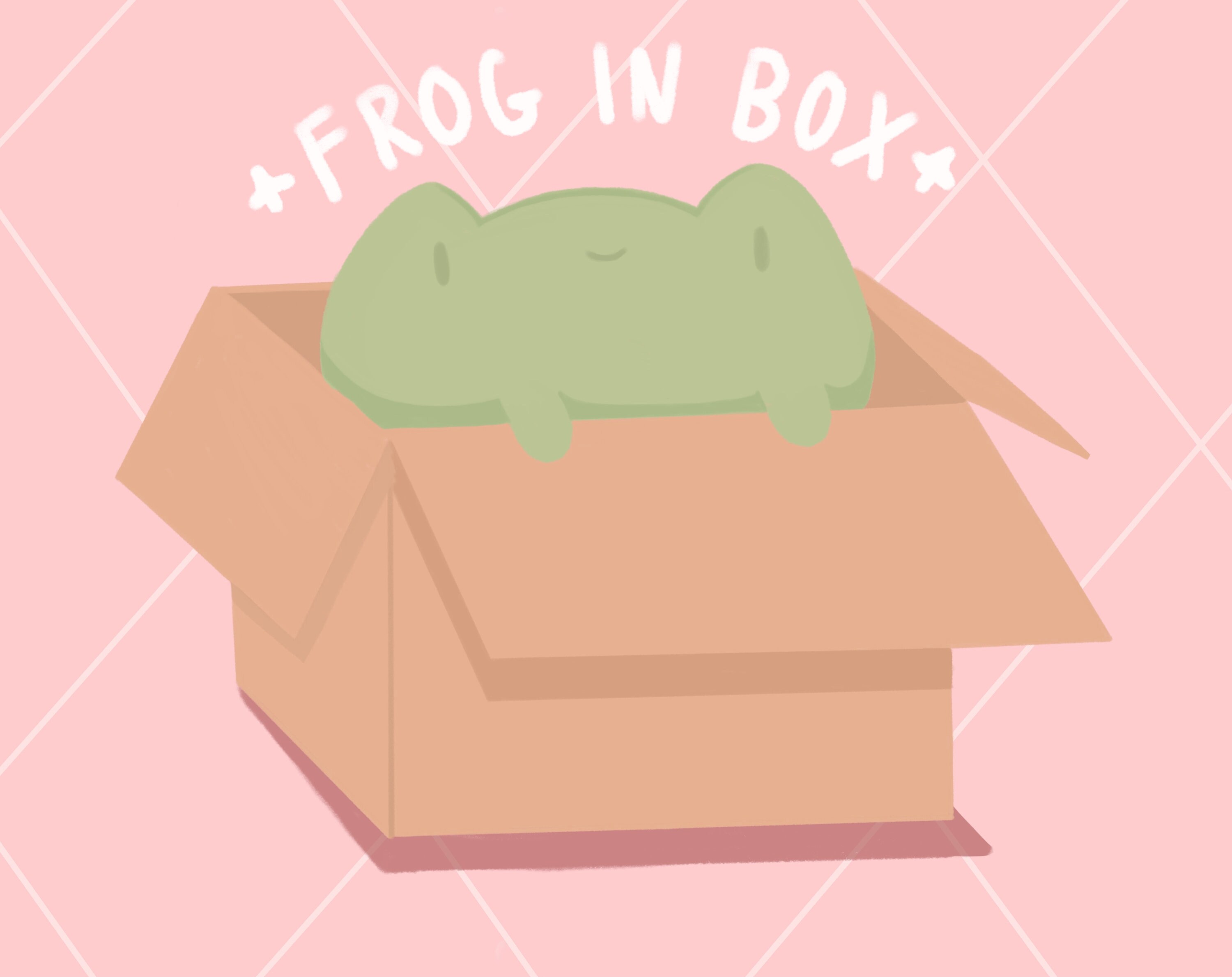 Frog Box Etsy