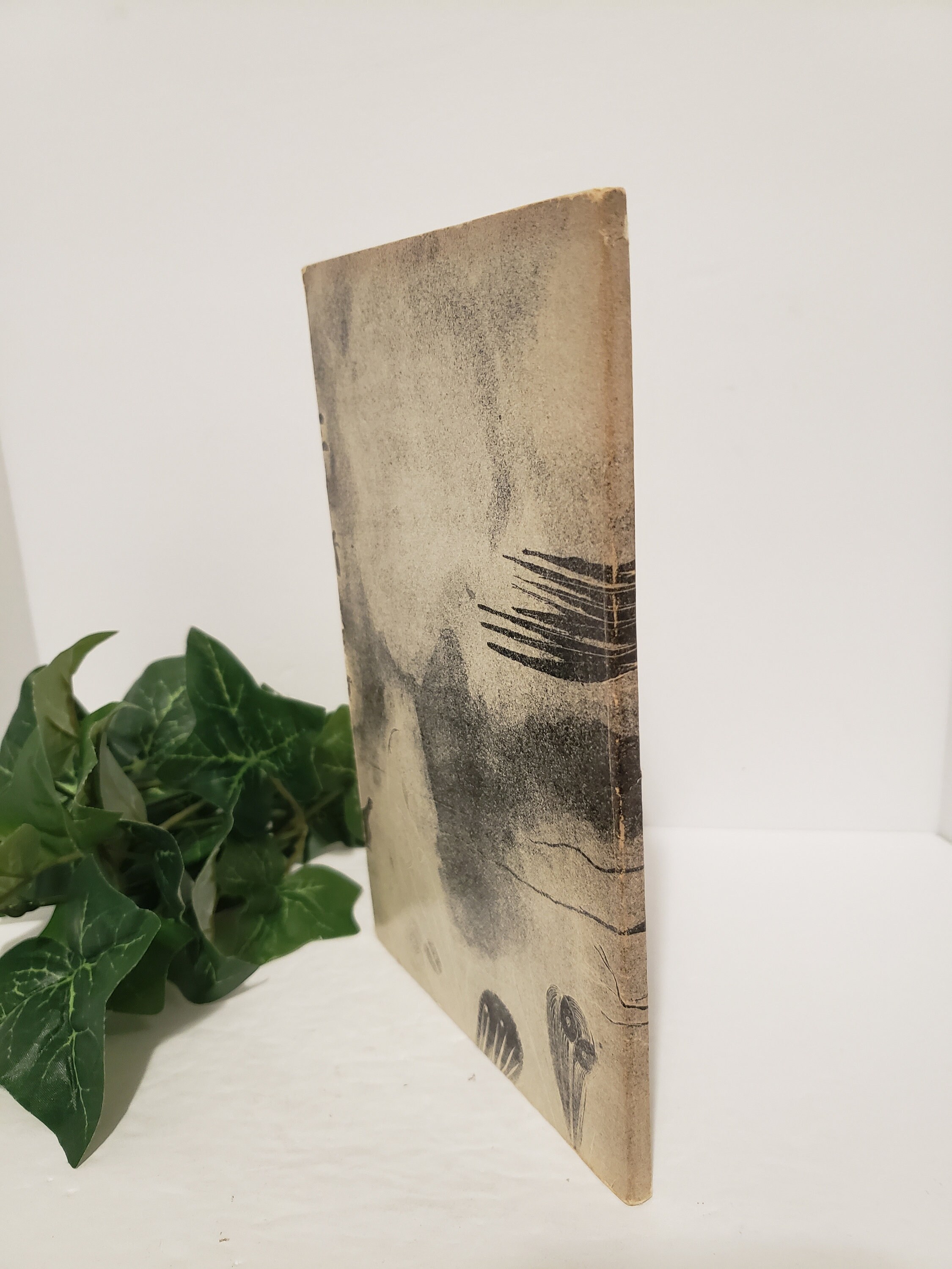 Vintage Anais Nin Book Under a Glass Bell 1948 - Etsy Canada