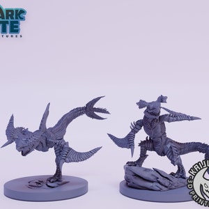 怪獣モン リザードン 3D プリント ミニチュア | Kaijumon Miniatures ...