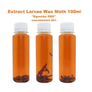 Extract larvae wax moth 100ml Огневка tincture Ognevka PRO Concentration 30% Very high quality  Natural