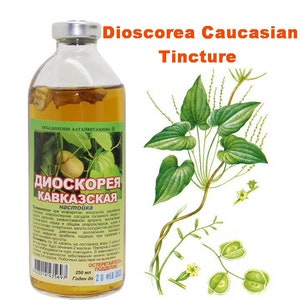 Tinktur Dioscorea Kaukasian 250ml (Dioscorea caucasica) Киоскорея кавкаская