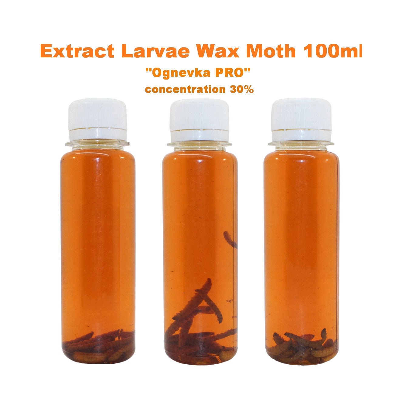Extract Larvae Wax Moth 100ml Огневка Tincture Ognevka PRO