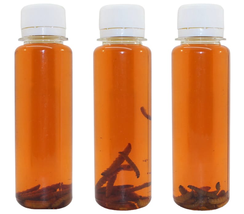 Extract Larvae Wax Moth 100ml Огневка Tincture Ognevka PRO