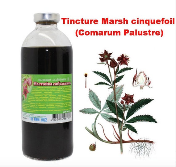 Marsh cinquefoil 250ml Sabelnik (Comarum Palustre) 100% Natural Сабельник болотный