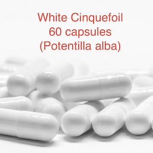 以下が含まれることがあります： 白いカプセルの山。赤字で「White Cinquefoil 60 capsules (Potentilla alba)」と書かれています。カプセルは円筒形で、滑らかで光沢のある表面をしています。背景は無地の白です。