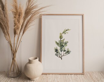 Juniper Branch Art Print. Juniper Berries. Minimalist Artwork. Gallery Wall Art. Watercolor Art. Scandi. Scandinavian Aesthetic. Living Room