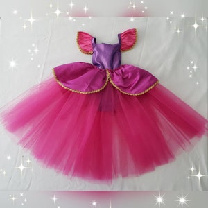 May include: A pink tulle tutu dress with a purple satin bodice and gold trim. The dress has a sweetheart neckline and short sleeves.