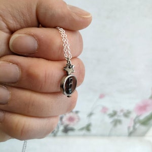 Puede incluir: Un collar de cadena de plata con un peque&ntilde;o colgante con una estrella y un encanto redondo de vidrio transparente con una piedra preciosa roja oscura en su interior.