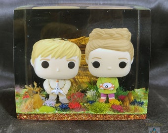 Young Luke and Leia Skywalker Pocket Funko Pop Resin Cube Display Case, Collectable Art, Custom Funko Pop Display, Star Wars Collectable