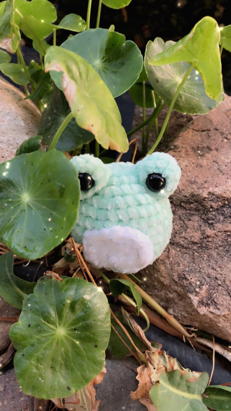 May include: A light green crocheted frog with large black eyes and a white belly, nestled among green lily pads and foliage. The handmade plush toy is a whimsical, nature-themed item.