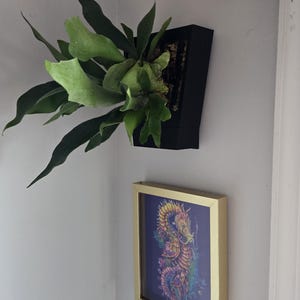 May include: A wall-mounted staghorn fern in a black rectangular planter with broad, lobed green fronds. Below it hangs a square gold-framed print featuring a colorful, detailed illustration of a seahorse against a deep purple background.