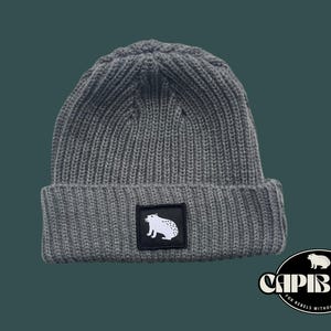 Capibara Docker Mütze Grau