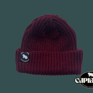 Pode incluir: Um gorro de malha bordô com um remendo preto que apresenta um logotipo de capivara branco. O remendo tem o texto "Capybara for rebels without a clue".
