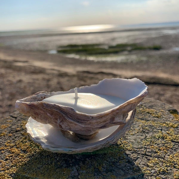 Oyster Shell Soy Candle, Handmade and natural, unique tea light, table decor for weddings and cafe's, or gifts. Can be personalised. Seaside